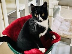 1c47c1333b39474896f75ed9ba045741-2