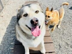 1c47c1333b39474896f75ed9ba045741-7