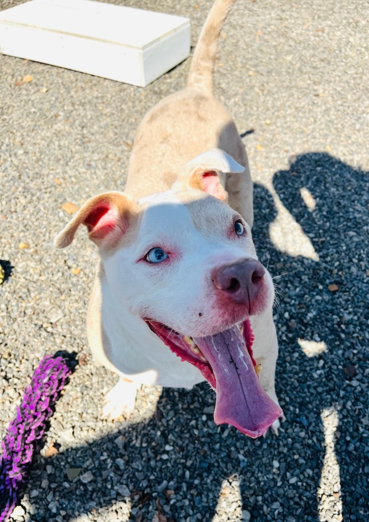 aa1868668a584b679b5717c27c0746bf-3